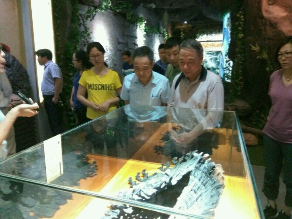 杭州亞運會官方靈芝產(chǎn)品供應商|杭州亞運會官方供應商|中國靈芝十大品牌|仙客來靈芝|仙客來靈芝破壁孢子粉|仙客來孢子油|仙客來靈芝飲片|仙客來破壁孢子粉|靈芝孢子油|孢子粉|靈芝破壁孢子粉|靈芝|中華老字號 杭州亞運會官方靈芝產(chǎn)品供應商|杭州亞運會官方供應商|中國靈芝十大品牌|仙客來靈芝|仙客來靈芝破壁孢子粉|仙客來孢子油|仙客來靈芝飲片|仙客來破壁孢子粉|靈芝孢子油|孢子粉|靈芝破壁孢子粉|靈芝|中華老字號