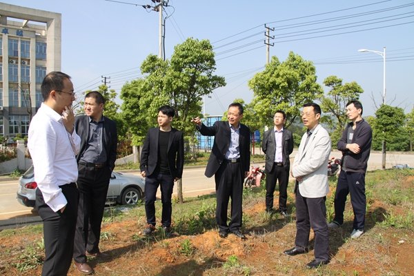 杭州亞運會官方靈芝產(chǎn)品供應(yīng)商|杭州亞運會官方供應(yīng)商|中國靈芝十大品牌|仙客來靈芝|仙客來靈芝破壁孢子粉|仙客來孢子油|仙客來靈芝飲片|仙客來破壁孢子粉|靈芝孢子油|孢子粉|靈芝破壁孢子粉|靈芝|中華老字號 杭州亞運會官方靈芝產(chǎn)品供應(yīng)商|杭州亞運會官方供應(yīng)商|中國靈芝十大品牌|仙客來靈芝|仙客來靈芝破壁孢子粉|仙客來孢子油|仙客來靈芝飲片|仙客來破壁孢子粉|靈芝孢子油|孢子粉|靈芝破壁孢子粉|靈芝|中華老字號