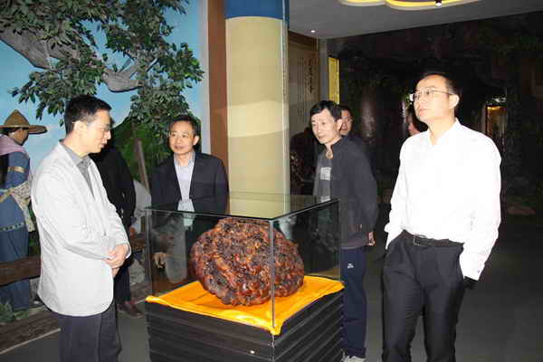 杭州亞運會官方靈芝產(chǎn)品供應(yīng)商|杭州亞運會官方供應(yīng)商|中國靈芝十大品牌|仙客來靈芝|仙客來靈芝破壁孢子粉|仙客來孢子油|仙客來靈芝飲片|仙客來破壁孢子粉|靈芝孢子油|孢子粉|靈芝破壁孢子粉|靈芝|中華老字號 杭州亞運會官方靈芝產(chǎn)品供應(yīng)商|杭州亞運會官方供應(yīng)商|中國靈芝十大品牌|仙客來靈芝|仙客來靈芝破壁孢子粉|仙客來孢子油|仙客來靈芝飲片|仙客來破壁孢子粉|靈芝孢子油|孢子粉|靈芝破壁孢子粉|靈芝|中華老字號