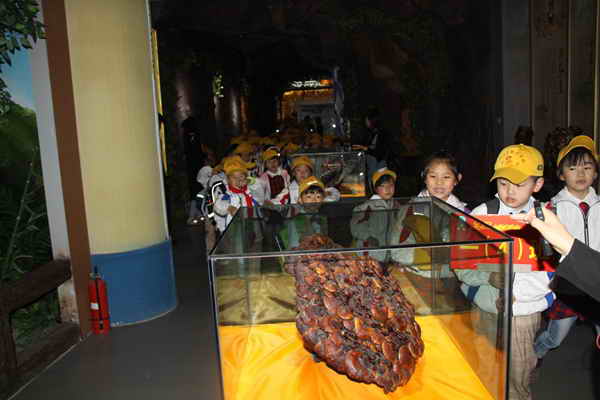 杭州亞運(yùn)會(huì)官方靈芝產(chǎn)品供應(yīng)商|杭州亞運(yùn)會(huì)官方供應(yīng)商|中國(guó)靈芝十大品牌|仙客來(lái)靈芝|仙客來(lái)靈芝破壁孢子粉|仙客來(lái)孢子油|仙客來(lái)靈芝飲片|仙客來(lái)破壁孢子粉|靈芝孢子油|孢子粉|靈芝破壁孢子粉|靈芝|中華老字號(hào) 杭州亞運(yùn)會(huì)官方靈芝產(chǎn)品供應(yīng)商|杭州亞運(yùn)會(huì)官方供應(yīng)商|中國(guó)靈芝十大品牌|仙客來(lái)靈芝|仙客來(lái)靈芝破壁孢子粉|仙客來(lái)孢子油|仙客來(lái)靈芝飲片|仙客來(lái)破壁孢子粉|靈芝孢子油|孢子粉|靈芝破壁孢子粉|靈芝|中華老字號(hào)