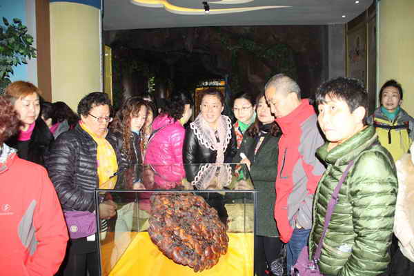 杭州亞運(yùn)會官方靈芝產(chǎn)品供應(yīng)商|杭州亞運(yùn)會官方供應(yīng)商|中國靈芝十大品牌|仙客來靈芝|仙客來靈芝破壁孢子粉|仙客來孢子油|仙客來靈芝飲片|仙客來破壁孢子粉|靈芝孢子油|孢子粉|靈芝破壁孢子粉|靈芝|中華老字號 杭州亞運(yùn)會官方靈芝產(chǎn)品供應(yīng)商|杭州亞運(yùn)會官方供應(yīng)商|中國靈芝十大品牌|仙客來靈芝|仙客來靈芝破壁孢子粉|仙客來孢子油|仙客來靈芝飲片|仙客來破壁孢子粉|靈芝孢子油|孢子粉|靈芝破壁孢子粉|靈芝|中華老字號