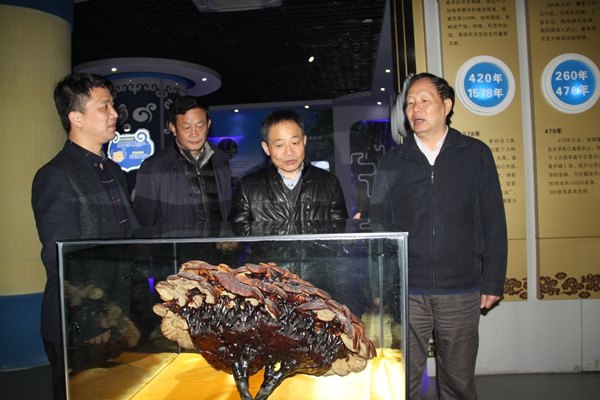 杭州亞運(yùn)會(huì)官方靈芝產(chǎn)品供應(yīng)商|杭州亞運(yùn)會(huì)官方供應(yīng)商|中國(guó)靈芝十大品牌|仙客來(lái)靈芝|仙客來(lái)靈芝破壁孢子粉|仙客來(lái)孢子油|仙客來(lái)靈芝飲片|仙客來(lái)破壁孢子粉|靈芝孢子油|孢子粉|靈芝破壁孢子粉|靈芝|中華老字號(hào) 杭州亞運(yùn)會(huì)官方靈芝產(chǎn)品供應(yīng)商|杭州亞運(yùn)會(huì)官方供應(yīng)商|中國(guó)靈芝十大品牌|仙客來(lái)靈芝|仙客來(lái)靈芝破壁孢子粉|仙客來(lái)孢子油|仙客來(lái)靈芝飲片|仙客來(lái)破壁孢子粉|靈芝孢子油|孢子粉|靈芝破壁孢子粉|靈芝|中華老字號(hào)