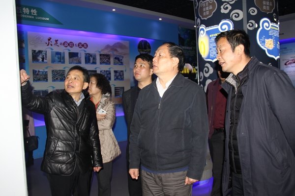 杭州亞運(yùn)會(huì)官方靈芝產(chǎn)品供應(yīng)商|杭州亞運(yùn)會(huì)官方供應(yīng)商|中國(guó)靈芝十大品牌|仙客來(lái)靈芝|仙客來(lái)靈芝破壁孢子粉|仙客來(lái)孢子油|仙客來(lái)靈芝飲片|仙客來(lái)破壁孢子粉|靈芝孢子油|孢子粉|靈芝破壁孢子粉|靈芝|中華老字號(hào) 杭州亞運(yùn)會(huì)官方靈芝產(chǎn)品供應(yīng)商|杭州亞運(yùn)會(huì)官方供應(yīng)商|中國(guó)靈芝十大品牌|仙客來(lái)靈芝|仙客來(lái)靈芝破壁孢子粉|仙客來(lái)孢子油|仙客來(lái)靈芝飲片|仙客來(lái)破壁孢子粉|靈芝孢子油|孢子粉|靈芝破壁孢子粉|靈芝|中華老字號(hào)