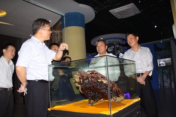 杭州亞運會官方靈芝產(chǎn)品供應商|杭州亞運會官方供應商|中國靈芝十大品牌|仙客來靈芝|仙客來靈芝破壁孢子粉|仙客來孢子油|仙客來靈芝飲片|仙客來破壁孢子粉|靈芝孢子油|孢子粉|靈芝破壁孢子粉|靈芝|中華老字號 杭州亞運會官方靈芝產(chǎn)品供應商|杭州亞運會官方供應商|中國靈芝十大品牌|仙客來靈芝|仙客來靈芝破壁孢子粉|仙客來孢子油|仙客來靈芝飲片|仙客來破壁孢子粉|靈芝孢子油|孢子粉|靈芝破壁孢子粉|靈芝|中華老字號