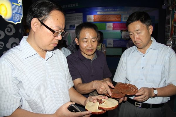 杭州亞運(yùn)會(huì)官方靈芝產(chǎn)品供應(yīng)商|杭州亞運(yùn)會(huì)官方供應(yīng)商|中國(guó)靈芝十大品牌|仙客來(lái)靈芝|仙客來(lái)靈芝破壁孢子粉|仙客來(lái)孢子油|仙客來(lái)靈芝飲片|仙客來(lái)破壁孢子粉|靈芝孢子油|孢子粉|靈芝破壁孢子粉|靈芝|中華老字號(hào) 杭州亞運(yùn)會(huì)官方靈芝產(chǎn)品供應(yīng)商|杭州亞運(yùn)會(huì)官方供應(yīng)商|中國(guó)靈芝十大品牌|仙客來(lái)靈芝|仙客來(lái)靈芝破壁孢子粉|仙客來(lái)孢子油|仙客來(lái)靈芝飲片|仙客來(lái)破壁孢子粉|靈芝孢子油|孢子粉|靈芝破壁孢子粉|靈芝|中華老字號(hào)