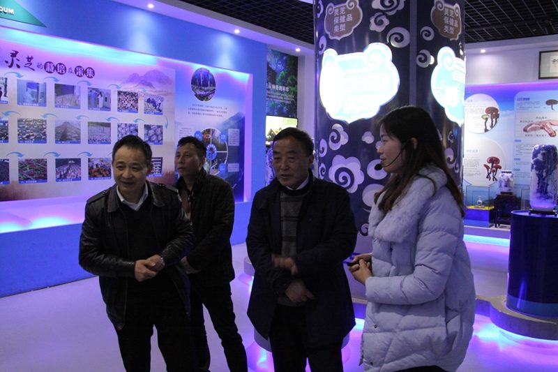 杭州亞運(yùn)會官方靈芝產(chǎn)品供應(yīng)商|杭州亞運(yùn)會官方供應(yīng)商|中國靈芝十大品牌|仙客來靈芝|仙客來靈芝破壁孢子粉|仙客來孢子油|仙客來靈芝飲片|仙客來破壁孢子粉|靈芝孢子油|孢子粉|靈芝破壁孢子粉|靈芝|中華老字號 杭州亞運(yùn)會官方靈芝產(chǎn)品供應(yīng)商|杭州亞運(yùn)會官方供應(yīng)商|中國靈芝十大品牌|仙客來靈芝|仙客來靈芝破壁孢子粉|仙客來孢子油|仙客來靈芝飲片|仙客來破壁孢子粉|靈芝孢子油|孢子粉|靈芝破壁孢子粉|靈芝|中華老字號