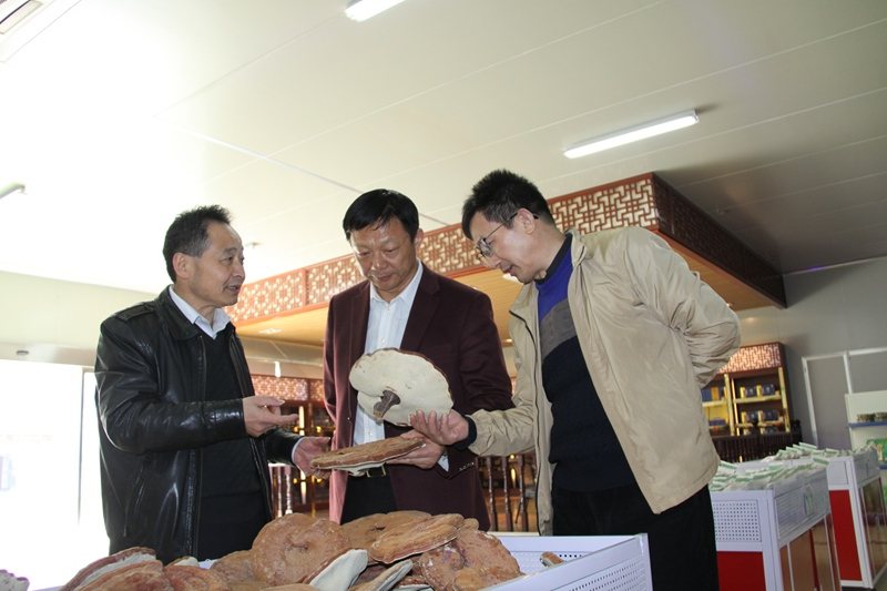 杭州亞運(yùn)會官方靈芝產(chǎn)品供應(yīng)商|杭州亞運(yùn)會官方供應(yīng)商|中國靈芝十大品牌|仙客來靈芝|仙客來靈芝破壁孢子粉|仙客來孢子油|仙客來靈芝飲片|仙客來破壁孢子粉|靈芝孢子油|孢子粉|靈芝破壁孢子粉|靈芝|中華老字號 杭州亞運(yùn)會官方靈芝產(chǎn)品供應(yīng)商|杭州亞運(yùn)會官方供應(yīng)商|中國靈芝十大品牌|仙客來靈芝|仙客來靈芝破壁孢子粉|仙客來孢子油|仙客來靈芝飲片|仙客來破壁孢子粉|靈芝孢子油|孢子粉|靈芝破壁孢子粉|靈芝|中華老字號