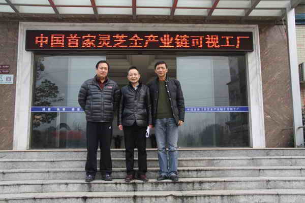 杭州亞運會官方靈芝產(chǎn)品供應商|杭州亞運會官方供應商|中國靈芝十大品牌|仙客來靈芝|仙客來靈芝破壁孢子粉|仙客來孢子油|仙客來靈芝飲片|仙客來破壁孢子粉|靈芝孢子油|孢子粉|靈芝破壁孢子粉|靈芝|中華老字號 杭州亞運會官方靈芝產(chǎn)品供應商|杭州亞運會官方供應商|中國靈芝十大品牌|仙客來靈芝|仙客來靈芝破壁孢子粉|仙客來孢子油|仙客來靈芝飲片|仙客來破壁孢子粉|靈芝孢子油|孢子粉|靈芝破壁孢子粉|靈芝|中華老字號