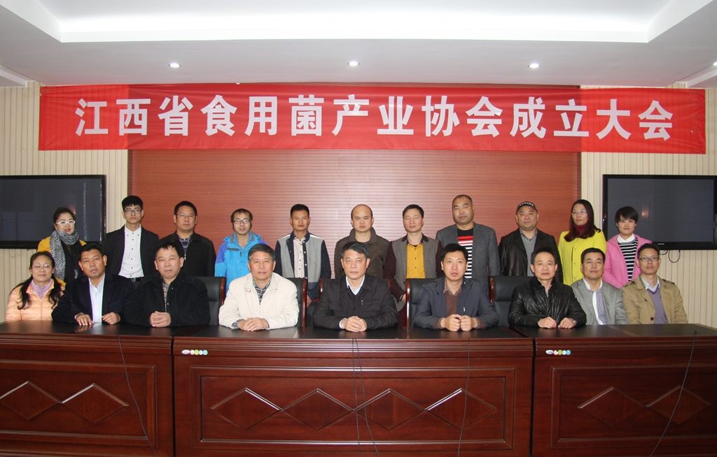 杭州亞運會官方靈芝產(chǎn)品供應(yīng)商|杭州亞運會官方供應(yīng)商|中國靈芝十大品牌|仙客來靈芝|仙客來靈芝破壁孢子粉|仙客來孢子油|仙客來靈芝飲片|仙客來破壁孢子粉|靈芝孢子油|孢子粉|靈芝破壁孢子粉|靈芝|中華老字號 杭州亞運會官方靈芝產(chǎn)品供應(yīng)商|杭州亞運會官方供應(yīng)商|中國靈芝十大品牌|仙客來靈芝|仙客來靈芝破壁孢子粉|仙客來孢子油|仙客來靈芝飲片|仙客來破壁孢子粉|靈芝孢子油|孢子粉|靈芝破壁孢子粉|靈芝|中華老字號