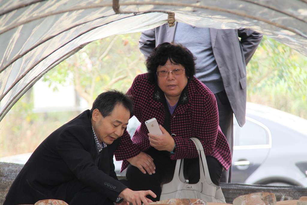 杭州亞運(yùn)會(huì)官方靈芝產(chǎn)品供應(yīng)商|杭州亞運(yùn)會(huì)官方供應(yīng)商|中國靈芝十大品牌|仙客來靈芝|仙客來靈芝破壁孢子粉|仙客來孢子油|仙客來靈芝飲片|仙客來破壁孢子粉|靈芝孢子油|孢子粉|靈芝破壁孢子粉|靈芝|中華老字號(hào) 杭州亞運(yùn)會(huì)官方靈芝產(chǎn)品供應(yīng)商|杭州亞運(yùn)會(huì)官方供應(yīng)商|中國靈芝十大品牌|仙客來靈芝|仙客來靈芝破壁孢子粉|仙客來孢子油|仙客來靈芝飲片|仙客來破壁孢子粉|靈芝孢子油|孢子粉|靈芝破壁孢子粉|靈芝|中華老字號(hào)