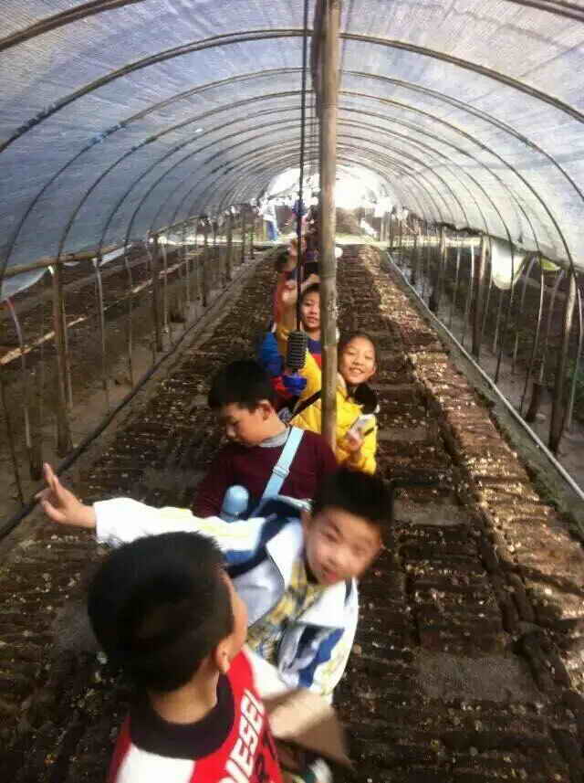 杭州亞運會官方靈芝產(chǎn)品供應商|杭州亞運會官方供應商|中國靈芝十大品牌|仙客來靈芝|仙客來靈芝破壁孢子粉|仙客來孢子油|仙客來靈芝飲片|仙客來破壁孢子粉|靈芝孢子油|孢子粉|靈芝破壁孢子粉|靈芝|中華老字號 杭州亞運會官方靈芝產(chǎn)品供應商|杭州亞運會官方供應商|中國靈芝十大品牌|仙客來靈芝|仙客來靈芝破壁孢子粉|仙客來孢子油|仙客來靈芝飲片|仙客來破壁孢子粉|靈芝孢子油|孢子粉|靈芝破壁孢子粉|靈芝|中華老字號