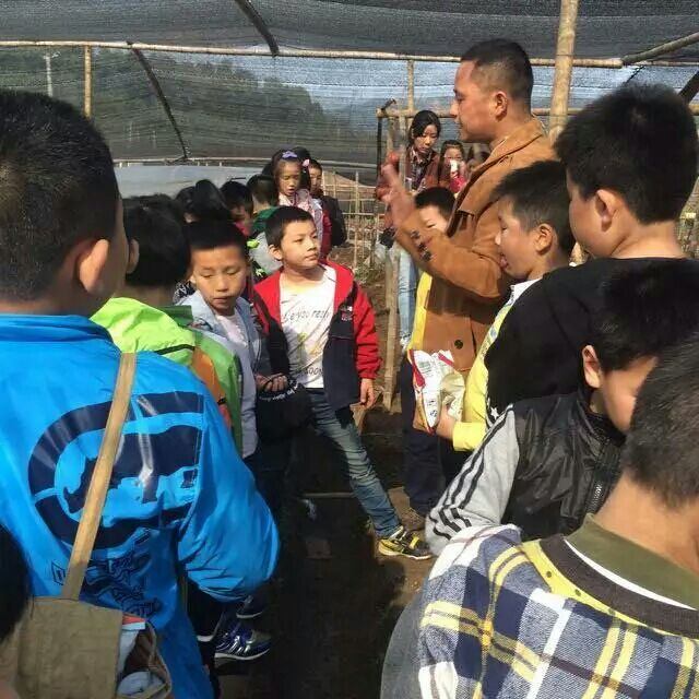 杭州亞運會官方靈芝產(chǎn)品供應商|杭州亞運會官方供應商|中國靈芝十大品牌|仙客來靈芝|仙客來靈芝破壁孢子粉|仙客來孢子油|仙客來靈芝飲片|仙客來破壁孢子粉|靈芝孢子油|孢子粉|靈芝破壁孢子粉|靈芝|中華老字號 杭州亞運會官方靈芝產(chǎn)品供應商|杭州亞運會官方供應商|中國靈芝十大品牌|仙客來靈芝|仙客來靈芝破壁孢子粉|仙客來孢子油|仙客來靈芝飲片|仙客來破壁孢子粉|靈芝孢子油|孢子粉|靈芝破壁孢子粉|靈芝|中華老字號