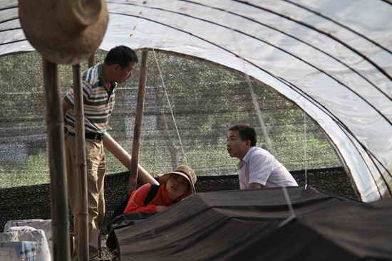 杭州亞運(yùn)會(huì)官方靈芝產(chǎn)品供應(yīng)商|杭州亞運(yùn)會(huì)官方供應(yīng)商|中國(guó)靈芝十大品牌|仙客來靈芝|仙客來靈芝破壁孢子粉|仙客來孢子油|仙客來靈芝飲片|仙客來破壁孢子粉|靈芝孢子油|孢子粉|靈芝破壁孢子粉|靈芝|中華老字號(hào) 杭州亞運(yùn)會(huì)官方靈芝產(chǎn)品供應(yīng)商|杭州亞運(yùn)會(huì)官方供應(yīng)商|中國(guó)靈芝十大品牌|仙客來靈芝|仙客來靈芝破壁孢子粉|仙客來孢子油|仙客來靈芝飲片|仙客來破壁孢子粉|靈芝孢子油|孢子粉|靈芝破壁孢子粉|靈芝|中華老字號(hào)