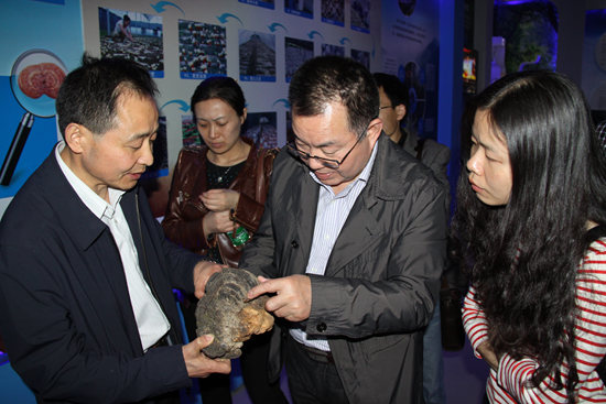 杭州亞運(yùn)會官方靈芝產(chǎn)品供應(yīng)商|杭州亞運(yùn)會官方供應(yīng)商|中國靈芝十大品牌|仙客來靈芝|仙客來靈芝破壁孢子粉|仙客來孢子油|仙客來靈芝飲片|仙客來破壁孢子粉|靈芝孢子油|孢子粉|靈芝破壁孢子粉|靈芝|中華老字號 杭州亞運(yùn)會官方靈芝產(chǎn)品供應(yīng)商|杭州亞運(yùn)會官方供應(yīng)商|中國靈芝十大品牌|仙客來靈芝|仙客來靈芝破壁孢子粉|仙客來孢子油|仙客來靈芝飲片|仙客來破壁孢子粉|靈芝孢子油|孢子粉|靈芝破壁孢子粉|靈芝|中華老字號