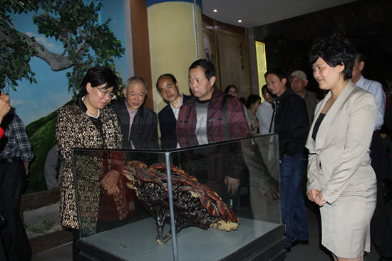 杭州亞運會官方靈芝產(chǎn)品供應商|杭州亞運會官方供應商|中國靈芝十大品牌|仙客來靈芝|仙客來靈芝破壁孢子粉|仙客來孢子油|仙客來靈芝飲片|仙客來破壁孢子粉|靈芝孢子油|孢子粉|靈芝破壁孢子粉|靈芝|中華老字號 杭州亞運會官方靈芝產(chǎn)品供應商|杭州亞運會官方供應商|中國靈芝十大品牌|仙客來靈芝|仙客來靈芝破壁孢子粉|仙客來孢子油|仙客來靈芝飲片|仙客來破壁孢子粉|靈芝孢子油|孢子粉|靈芝破壁孢子粉|靈芝|中華老字號