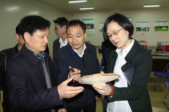 杭州亞運(yùn)會(huì)官方靈芝產(chǎn)品供應(yīng)商|杭州亞運(yùn)會(huì)官方供應(yīng)商|中國(guó)靈芝十大品牌|仙客來靈芝|仙客來靈芝破壁孢子粉|仙客來孢子油|仙客來靈芝飲片|仙客來破壁孢子粉|靈芝孢子油|孢子粉|靈芝破壁孢子粉|靈芝|中華老字號(hào) 杭州亞運(yùn)會(huì)官方靈芝產(chǎn)品供應(yīng)商|杭州亞運(yùn)會(huì)官方供應(yīng)商|中國(guó)靈芝十大品牌|仙客來靈芝|仙客來靈芝破壁孢子粉|仙客來孢子油|仙客來靈芝飲片|仙客來破壁孢子粉|靈芝孢子油|孢子粉|靈芝破壁孢子粉|靈芝|中華老字號(hào)