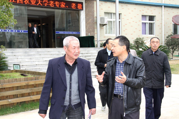 杭州亞運(yùn)會(huì)官方靈芝產(chǎn)品供應(yīng)商|杭州亞運(yùn)會(huì)官方供應(yīng)商|中國靈芝十大品牌|仙客來靈芝|仙客來靈芝破壁孢子粉|仙客來孢子油|仙客來靈芝飲片|仙客來破壁孢子粉|靈芝孢子油|孢子粉|靈芝破壁孢子粉|靈芝|中華老字號(hào) 杭州亞運(yùn)會(huì)官方靈芝產(chǎn)品供應(yīng)商|杭州亞運(yùn)會(huì)官方供應(yīng)商|中國靈芝十大品牌|仙客來靈芝|仙客來靈芝破壁孢子粉|仙客來孢子油|仙客來靈芝飲片|仙客來破壁孢子粉|靈芝孢子油|孢子粉|靈芝破壁孢子粉|靈芝|中華老字號(hào)