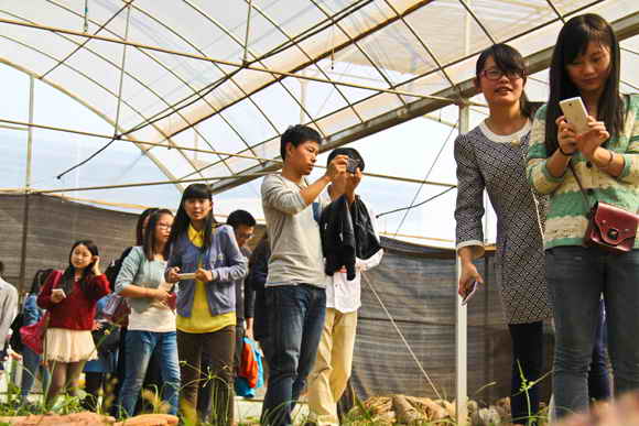 杭州亞運會官方靈芝產(chǎn)品供應(yīng)商|杭州亞運會官方供應(yīng)商|中國靈芝十大品牌|仙客來靈芝|仙客來靈芝破壁孢子粉|仙客來孢子油|仙客來靈芝飲片|仙客來破壁孢子粉|靈芝孢子油|孢子粉|靈芝破壁孢子粉|靈芝|中華老字號 杭州亞運會官方靈芝產(chǎn)品供應(yīng)商|杭州亞運會官方供應(yīng)商|中國靈芝十大品牌|仙客來靈芝|仙客來靈芝破壁孢子粉|仙客來孢子油|仙客來靈芝飲片|仙客來破壁孢子粉|靈芝孢子油|孢子粉|靈芝破壁孢子粉|靈芝|中華老字號