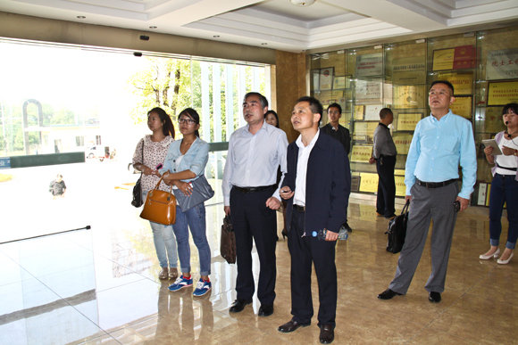 杭州亞運(yùn)會(huì)官方靈芝產(chǎn)品供應(yīng)商|杭州亞運(yùn)會(huì)官方供應(yīng)商|中國(guó)靈芝十大品牌|仙客來(lái)靈芝|仙客來(lái)靈芝破壁孢子粉|仙客來(lái)孢子油|仙客來(lái)靈芝飲片|仙客來(lái)破壁孢子粉|靈芝孢子油|孢子粉|靈芝破壁孢子粉|靈芝|中華老字號(hào) 杭州亞運(yùn)會(huì)官方靈芝產(chǎn)品供應(yīng)商|杭州亞運(yùn)會(huì)官方供應(yīng)商|中國(guó)靈芝十大品牌|仙客來(lái)靈芝|仙客來(lái)靈芝破壁孢子粉|仙客來(lái)孢子油|仙客來(lái)靈芝飲片|仙客來(lái)破壁孢子粉|靈芝孢子油|孢子粉|靈芝破壁孢子粉|靈芝|中華老字號(hào)