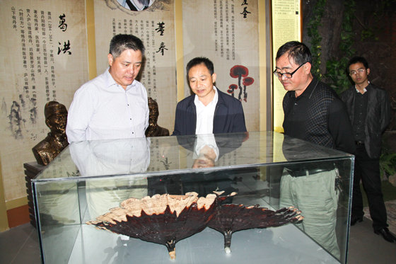 杭州亞運會官方靈芝產品供應商|杭州亞運會官方供應商|中國靈芝十大品牌|仙客來靈芝|仙客來靈芝破壁孢子粉|仙客來孢子油|仙客來靈芝飲片|仙客來破壁孢子粉|靈芝孢子油|孢子粉|靈芝破壁孢子粉|靈芝|中華老字號 杭州亞運會官方靈芝產品供應商|杭州亞運會官方供應商|中國靈芝十大品牌|仙客來靈芝|仙客來靈芝破壁孢子粉|仙客來孢子油|仙客來靈芝飲片|仙客來破壁孢子粉|靈芝孢子油|孢子粉|靈芝破壁孢子粉|靈芝|中華老字號