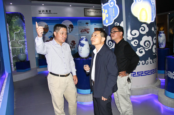 杭州亞運會官方靈芝產品供應商|杭州亞運會官方供應商|中國靈芝十大品牌|仙客來靈芝|仙客來靈芝破壁孢子粉|仙客來孢子油|仙客來靈芝飲片|仙客來破壁孢子粉|靈芝孢子油|孢子粉|靈芝破壁孢子粉|靈芝|中華老字號 杭州亞運會官方靈芝產品供應商|杭州亞運會官方供應商|中國靈芝十大品牌|仙客來靈芝|仙客來靈芝破壁孢子粉|仙客來孢子油|仙客來靈芝飲片|仙客來破壁孢子粉|靈芝孢子油|孢子粉|靈芝破壁孢子粉|靈芝|中華老字號