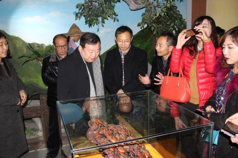 仙客來孢子粉|仙客來孢子油|仙客來靈芝|仙客來破壁孢子粉|江西老字號 仙客來孢子粉|仙客來孢子油|仙客來靈芝|仙客來破壁孢子粉|江西老字號