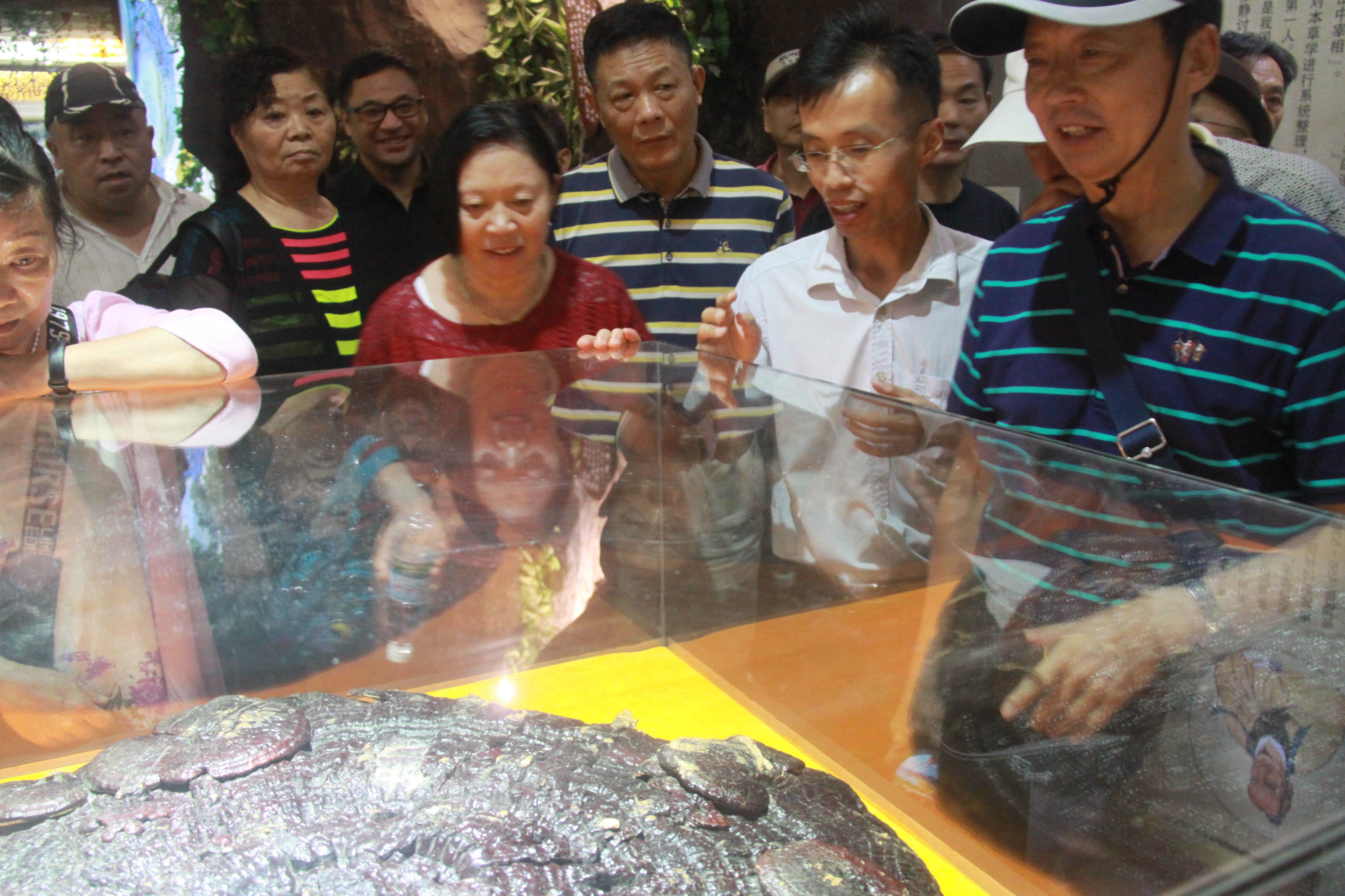 仙客來靈芝破壁孢子粉|仙客來靈芝孢子油|仙客來靈芝|仙客來破壁孢子粉|江西老字號|有機栽培椴木靈芝|靈芝中藥飲片|江西九江廬山民營企業(yè)|廬山GAP仿野生栽培椴木靈芝|靈芝|林之|林芝 仙客來靈芝破壁孢子粉|仙客來靈芝孢子油|仙客來靈芝|仙客來破壁孢子粉|江西老字號|有機栽培椴木靈芝|靈芝中藥飲片|江西九江廬山民營企業(yè)|廬山GAP仿野生栽培椴木靈芝|靈芝|林之|林芝