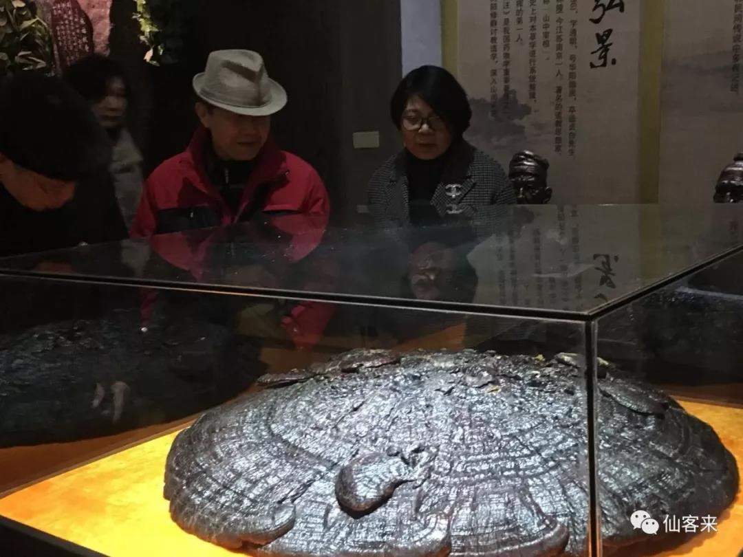 中國靈芝十大品牌|仙客來靈芝|仙客來靈芝破壁孢子粉|仙客來孢子油|仙客來靈芝飲片|仙客來破壁孢子粉|仙客來靈芝中藥飲片|馳名商標(biāo)|m.tianyabagua.cn| 中國靈芝十大品牌|仙客來靈芝|仙客來靈芝破壁孢子粉|仙客來孢子油|仙客來靈芝飲片|仙客來破壁孢子粉|仙客來靈芝中藥飲片|馳名商標(biāo)|m.tianyabagua.cn|