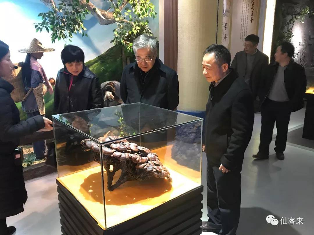 中國靈芝十大品牌|仙客來靈芝|仙客來靈芝破壁孢子粉|仙客來孢子油|仙客來靈芝飲片|仙客來破壁孢子粉|仙客來靈芝中藥飲片|馳名商標|m.tianyabagua.cn|