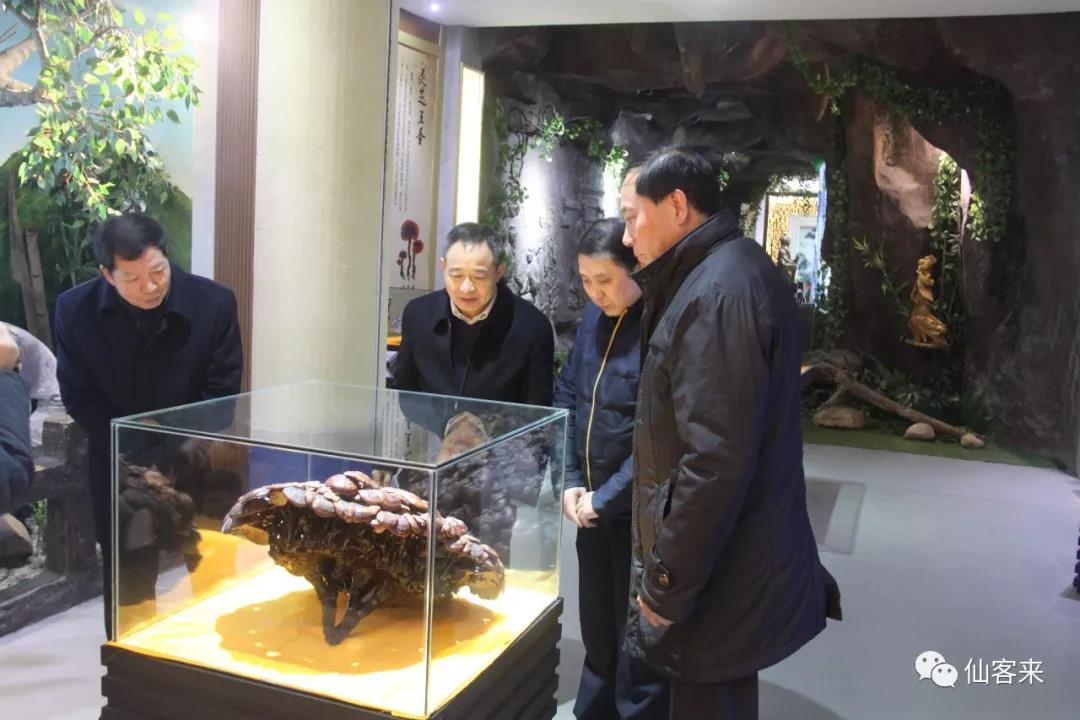 中國靈芝十大品牌|仙客來靈芝|仙客來靈芝破壁孢子粉|仙客來孢子油|仙客來靈芝飲片|仙客來破壁孢子粉|仙客來靈芝中藥飲片|馳名商標(biāo)|m.tianyabagua.cn| 中國靈芝十大品牌|仙客來靈芝|仙客來靈芝破壁孢子粉|仙客來孢子油|仙客來靈芝飲片|仙客來破壁孢子粉|仙客來靈芝中藥飲片|馳名商標(biāo)|m.tianyabagua.cn|