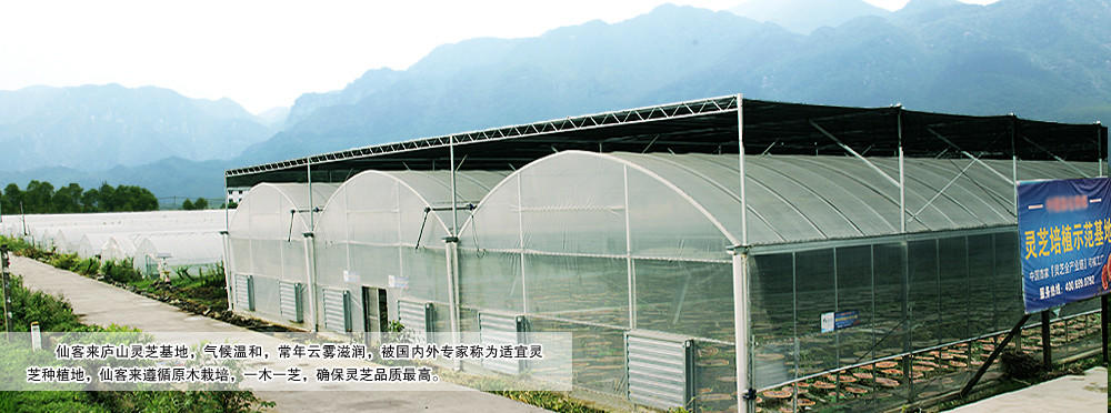 中國靈芝十大品牌|仙客來靈芝|仙客來靈芝破壁孢子粉|仙客來孢子油|仙客來靈芝飲片|仙客來破壁孢子粉|仙客來靈芝中藥飲片|馳名商標|m.tianyabagua.cn|