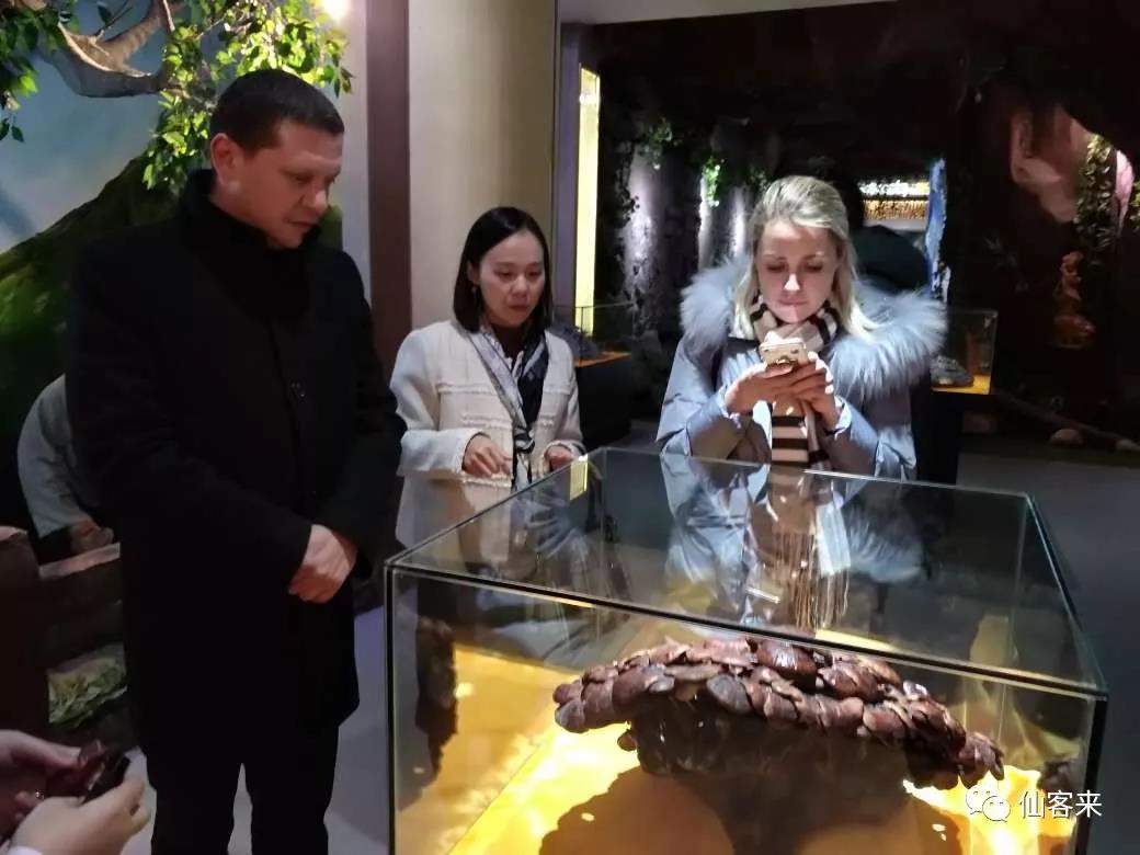 中國靈芝十大品牌|仙客來靈芝|仙客來靈芝破壁孢子粉|仙客來孢子油|仙客來靈芝飲片|仙客來破壁孢子粉|仙客來靈芝中藥飲片|馳名商標(biāo)|m.tianyabagua.cn| 中國靈芝十大品牌|仙客來靈芝|仙客來靈芝破壁孢子粉|仙客來孢子油|仙客來靈芝飲片|仙客來破壁孢子粉|仙客來靈芝中藥飲片|馳名商標(biāo)|m.tianyabagua.cn|