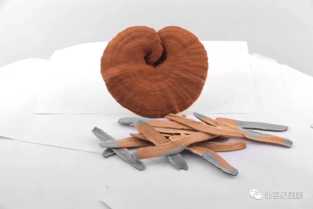 中國靈芝十大品牌|仙客來靈芝|仙客來靈芝破壁孢子粉|仙客來孢子油|仙客來靈芝飲片|仙客來破壁孢子粉|仙客來靈芝中藥飲片|馳名商標|m.tianyabagua.cn| 中國靈芝十大品牌|仙客來靈芝|仙客來靈芝破壁孢子粉|仙客來孢子油|仙客來靈芝飲片|仙客來破壁孢子粉|仙客來靈芝中藥飲片|馳名商標|m.tianyabagua.cn|