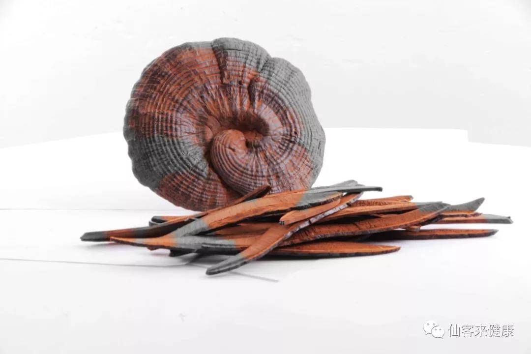 中國靈芝十大品牌|仙客來靈芝|仙客來靈芝破壁孢子粉|仙客來孢子油|仙客來靈芝飲片|仙客來破壁孢子粉|仙客來靈芝中藥飲片|馳名商標|m.tianyabagua.cn| 中國靈芝十大品牌|仙客來靈芝|仙客來靈芝破壁孢子粉|仙客來孢子油|仙客來靈芝飲片|仙客來破壁孢子粉|仙客來靈芝中藥飲片|馳名商標|m.tianyabagua.cn|