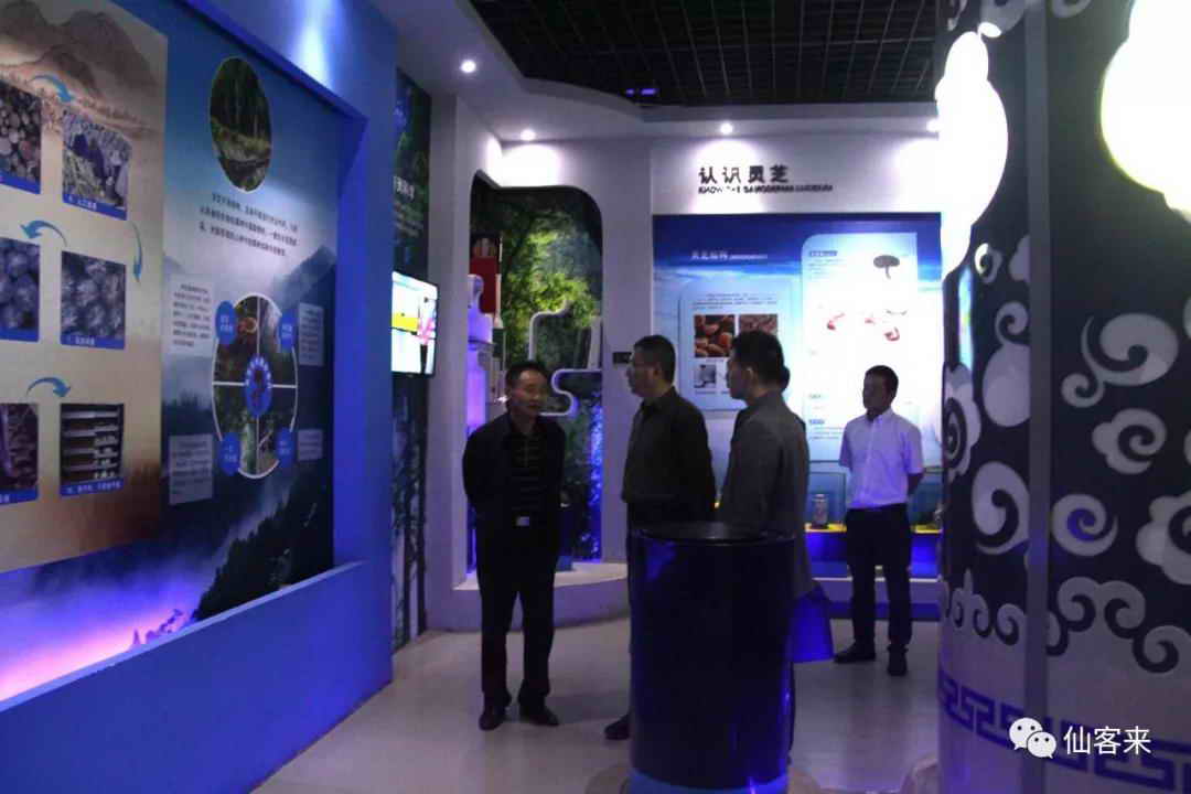 中國(guó)靈芝十大品牌|仙客來靈芝|仙客來靈芝破壁孢子粉|仙客來孢子油|仙客來靈芝飲片|仙客來破壁孢子粉|仙客來靈芝中藥飲片|馳名商標(biāo)|m.tianyabagua.cn| 中國(guó)靈芝十大品牌|仙客來靈芝|仙客來靈芝破壁孢子粉|仙客來孢子油|仙客來靈芝飲片|仙客來破壁孢子粉|仙客來靈芝中藥飲片|馳名商標(biāo)|m.tianyabagua.cn|