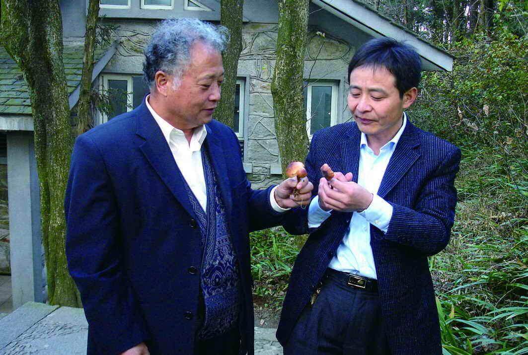 杭州亞運(yùn)會(huì)官方靈芝產(chǎn)品供應(yīng)商|杭州亞運(yùn)會(huì)官方供應(yīng)商|中國(guó)靈芝十大品牌|仙客來靈芝|仙客來靈芝破壁孢子粉|仙客來孢子油|仙客來靈芝飲片|仙客來破壁孢子粉|靈芝孢子油|孢子粉|靈芝破壁孢子粉|靈芝|中華老字號(hào) 杭州亞運(yùn)會(huì)官方靈芝產(chǎn)品供應(yīng)商|杭州亞運(yùn)會(huì)官方供應(yīng)商|中國(guó)靈芝十大品牌|仙客來靈芝|仙客來靈芝破壁孢子粉|仙客來孢子油|仙客來靈芝飲片|仙客來破壁孢子粉|靈芝孢子油|孢子粉|靈芝破壁孢子粉|靈芝|中華老字號(hào)