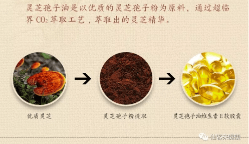 中國靈芝十大品牌|仙客來靈芝|仙客來靈芝破壁孢子粉|仙客來孢子油|仙客來靈芝飲片|仙客來破壁孢子粉|仙客來靈芝中藥飲片|馳名商標(biāo)|m.tianyabagua.cn| 中國靈芝十大品牌|仙客來靈芝|仙客來靈芝破壁孢子粉|仙客來孢子油|仙客來靈芝飲片|仙客來破壁孢子粉|仙客來靈芝中藥飲片|馳名商標(biāo)|m.tianyabagua.cn|