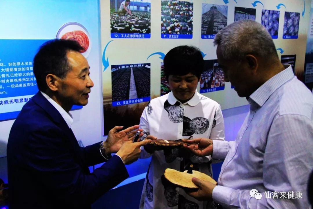 杭州亞運(yùn)會(huì)官方靈芝產(chǎn)品供應(yīng)商|杭州亞運(yùn)會(huì)官方供應(yīng)商|中國(guó)靈芝十大品牌|仙客來(lái)靈芝|仙客來(lái)靈芝破壁孢子粉|仙客來(lái)孢子油|仙客來(lái)靈芝飲片|仙客來(lái)破壁孢子粉|靈芝孢子油|孢子粉|靈芝破壁孢子粉|靈芝|中華老字號(hào) 杭州亞運(yùn)會(huì)官方靈芝產(chǎn)品供應(yīng)商|杭州亞運(yùn)會(huì)官方供應(yīng)商|中國(guó)靈芝十大品牌|仙客來(lái)靈芝|仙客來(lái)靈芝破壁孢子粉|仙客來(lái)孢子油|仙客來(lái)靈芝飲片|仙客來(lái)破壁孢子粉|靈芝孢子油|孢子粉|靈芝破壁孢子粉|靈芝|中華老字號(hào)