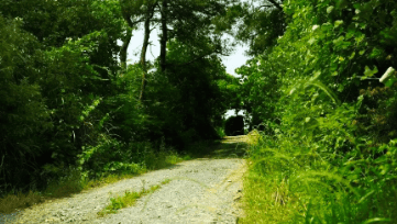 中國(guó)靈芝十大品牌|仙客來(lái)靈芝|仙客來(lái)靈芝破壁孢子粉|仙客來(lái)孢子油|仙客來(lái)靈芝飲片|仙客來(lái)破壁孢子粉|仙客來(lái)靈芝中藥飲片|馳名商標(biāo)|m.tianyabagua.cn| 中國(guó)靈芝十大品牌|仙客來(lái)靈芝|仙客來(lái)靈芝破壁孢子粉|仙客來(lái)孢子油|仙客來(lái)靈芝飲片|仙客來(lái)破壁孢子粉|仙客來(lái)靈芝中藥飲片|馳名商標(biāo)|m.tianyabagua.cn|