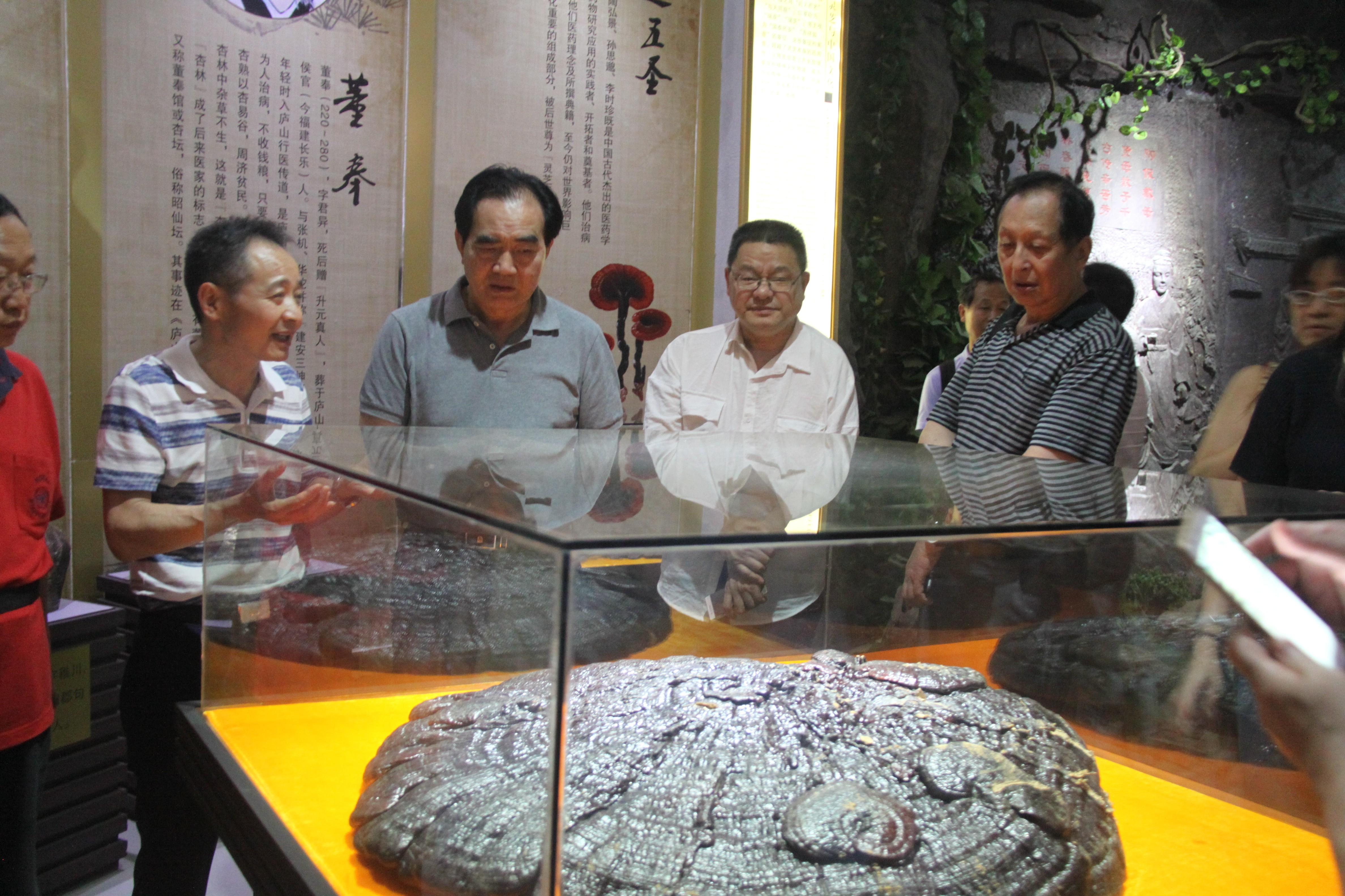 中國(guó)靈芝十大品牌|仙客來靈芝|仙客來靈芝破壁孢子粉|仙客來孢子油|仙客來靈芝飲片|仙客來破壁孢子粉|仙客來靈芝中藥飲片|馳名商標(biāo)|m.tianyabagua.cn|