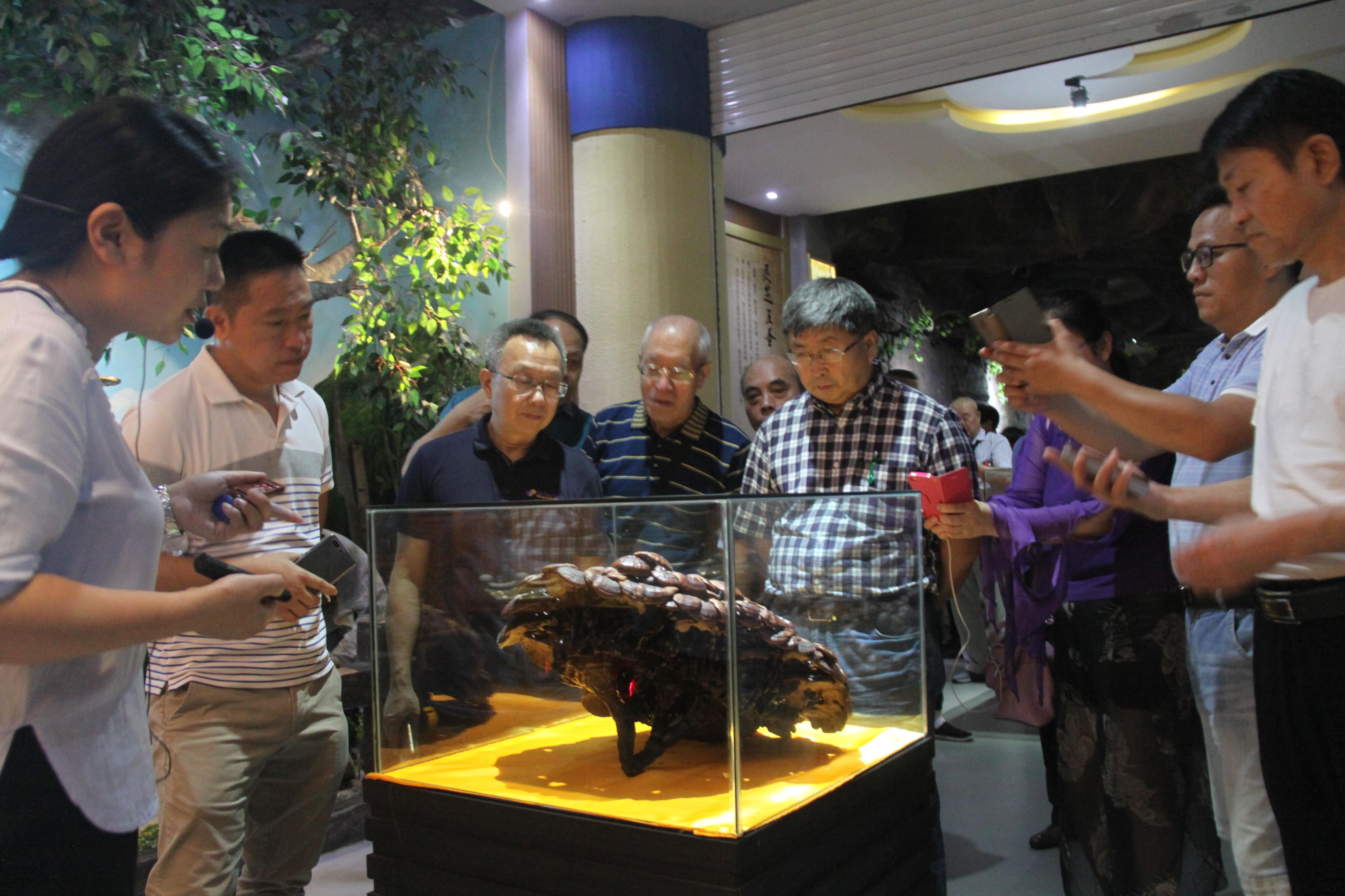 中國(guó)靈芝十大品牌|仙客來靈芝|仙客來靈芝破壁孢子粉|仙客來孢子油|仙客來靈芝飲片|仙客來破壁孢子粉|仙客來靈芝中藥飲片|馳名商標(biāo)|m.tianyabagua.cn|