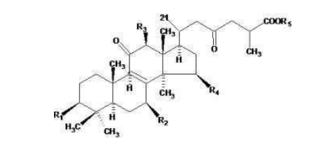 中國靈芝十大品牌|仙客來靈芝|仙客來靈芝破壁孢子粉|仙客來孢子油|仙客來靈芝飲片|仙客來破壁孢子粉|仙客來靈芝中藥飲片|馳名商標|m.tianyabagua.cn| 中國靈芝十大品牌|仙客來靈芝|仙客來靈芝破壁孢子粉|仙客來孢子油|仙客來靈芝飲片|仙客來破壁孢子粉|仙客來靈芝中藥飲片|馳名商標|m.tianyabagua.cn|
