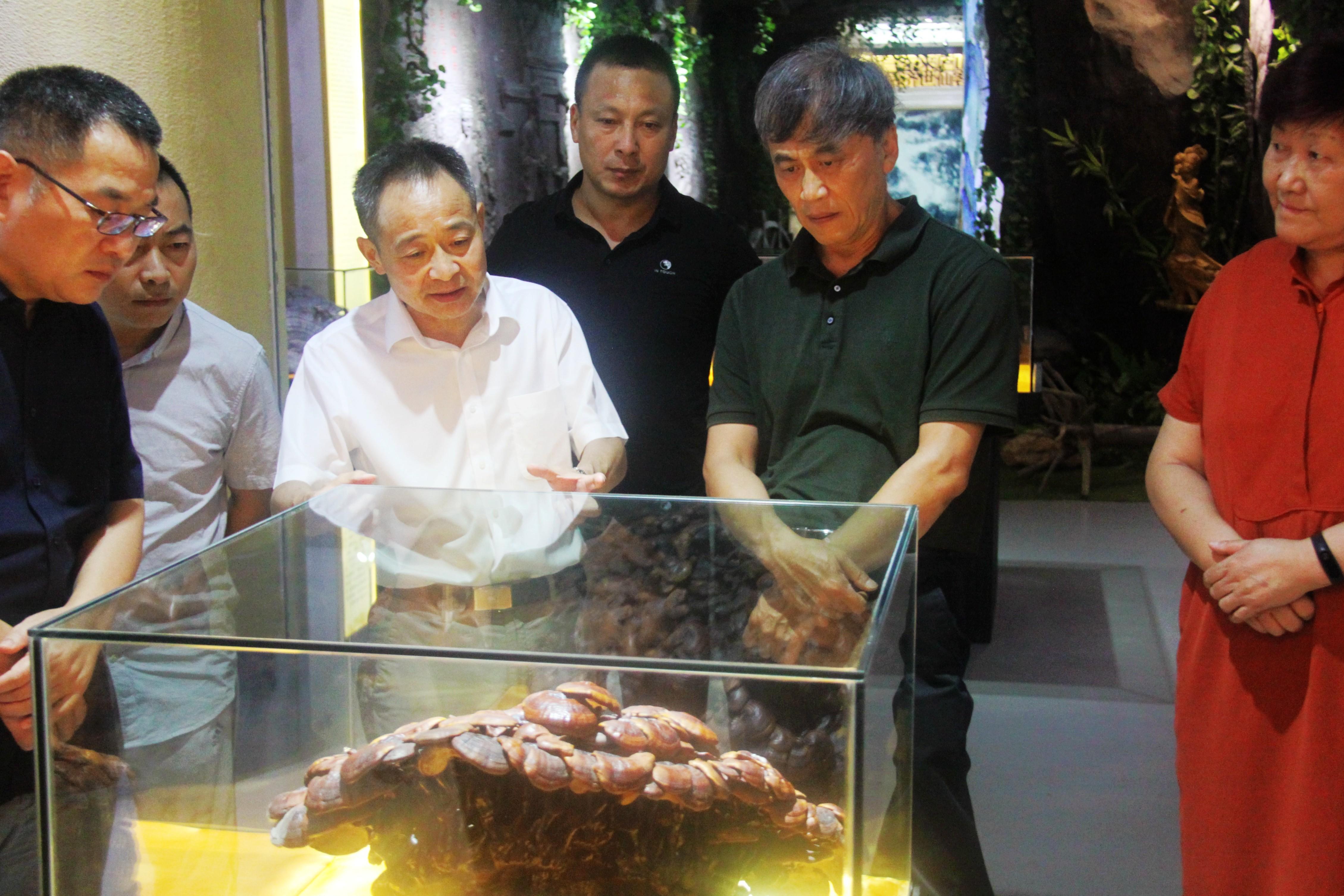 中國靈芝十大品牌|仙客來靈芝|仙客來靈芝破壁孢子粉|仙客來孢子油|仙客來靈芝飲片|仙客來破壁孢子粉|仙客來靈芝中藥飲片|馳名商標(biāo)|m.tianyabagua.cn| 中國靈芝十大品牌|仙客來靈芝|仙客來靈芝破壁孢子粉|仙客來孢子油|仙客來靈芝飲片|仙客來破壁孢子粉|仙客來靈芝中藥飲片|馳名商標(biāo)|m.tianyabagua.cn|