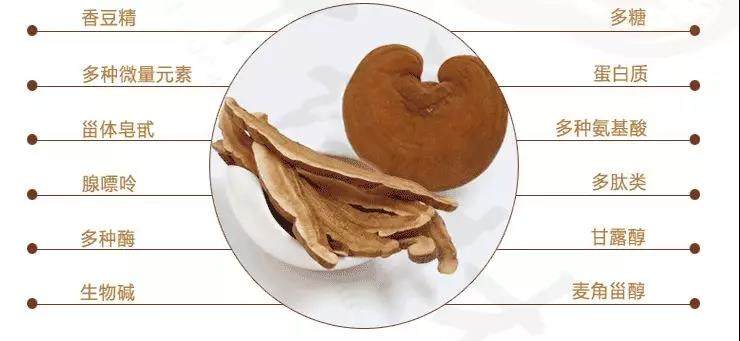 中國靈芝十大品牌|仙客來靈芝|仙客來靈芝破壁孢子粉|仙客來孢子油|仙客來靈芝飲片|仙客來破壁孢子粉|仙客來靈芝中藥飲片|馳名商標(biāo)|m.tianyabagua.cn| 中國靈芝十大品牌|仙客來靈芝|仙客來靈芝破壁孢子粉|仙客來孢子油|仙客來靈芝飲片|仙客來破壁孢子粉|仙客來靈芝中藥飲片|馳名商標(biāo)|m.tianyabagua.cn|