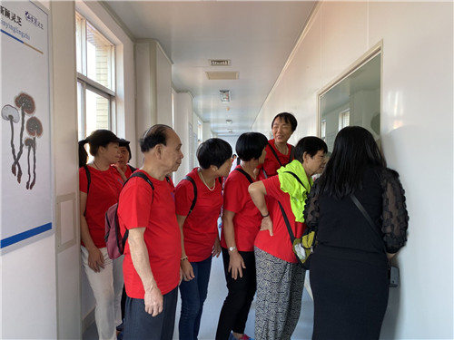 1569489526597370.jpg 杭州亞運(yùn)會(huì)官方靈芝產(chǎn)品供應(yīng)商|杭州亞運(yùn)會(huì)官方供應(yīng)商|中國(guó)靈芝十大品牌|仙客來(lái)靈芝|仙客來(lái)靈芝破壁孢子粉|仙客來(lái)孢子油|仙客來(lái)靈芝飲片|仙客來(lái)破壁孢子粉|靈芝孢子油|孢子粉|靈芝破壁孢子粉|靈芝|中華老字號(hào)