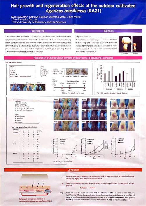 中國(guó)靈芝十大品牌|仙客來靈芝|仙客來靈芝破壁孢子粉|仙客來孢子油|仙客來靈芝飲片|仙客來破壁孢子粉|仙客來靈芝中藥飲片|馳名商標(biāo)|m.tianyabagua.cn| 中國(guó)靈芝十大品牌|仙客來靈芝|仙客來靈芝破壁孢子粉|仙客來孢子油|仙客來靈芝飲片|仙客來破壁孢子粉|仙客來靈芝中藥飲片|馳名商標(biāo)|m.tianyabagua.cn|