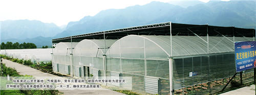 中國(guó)靈芝十大品牌|仙客來(lái)靈芝|仙客來(lái)靈芝破壁孢子粉|仙客來(lái)孢子油|仙客來(lái)靈芝飲片|仙客來(lái)破壁孢子粉|仙客來(lái)靈芝中藥飲片|馳名商標(biāo)|m.tianyabagua.cn| 中國(guó)靈芝十大品牌|仙客來(lái)靈芝|仙客來(lái)靈芝破壁孢子粉|仙客來(lái)孢子油|仙客來(lái)靈芝飲片|仙客來(lái)破壁孢子粉|仙客來(lái)靈芝中藥飲片|馳名商標(biāo)|m.tianyabagua.cn|