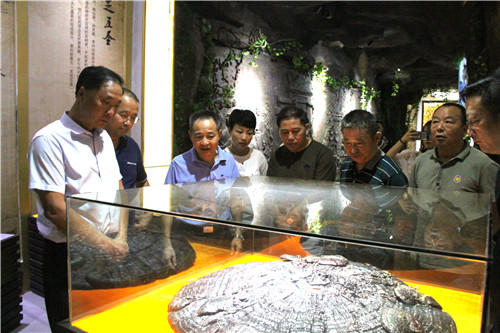 中國靈芝十大品牌|仙客來靈芝|仙客來靈芝破壁孢子粉|仙客來孢子油|仙客來靈芝飲片|仙客來破壁孢子粉|仙客來靈芝中藥飲片|馳名商標(biāo)|m.tianyabagua.cn| 中國靈芝十大品牌|仙客來靈芝|仙客來靈芝破壁孢子粉|仙客來孢子油|仙客來靈芝飲片|仙客來破壁孢子粉|仙客來靈芝中藥飲片|馳名商標(biāo)|m.tianyabagua.cn|