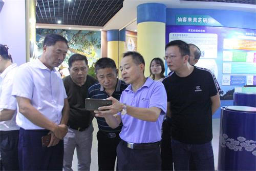 中國靈芝十大品牌|仙客來靈芝|仙客來靈芝破壁孢子粉|仙客來孢子油|仙客來靈芝飲片|仙客來破壁孢子粉|仙客來靈芝中藥飲片|馳名商標(biāo)|m.tianyabagua.cn| 中國靈芝十大品牌|仙客來靈芝|仙客來靈芝破壁孢子粉|仙客來孢子油|仙客來靈芝飲片|仙客來破壁孢子粉|仙客來靈芝中藥飲片|馳名商標(biāo)|m.tianyabagua.cn|