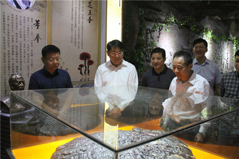 中國靈芝十大品牌|仙客來靈芝|仙客來靈芝破壁孢子粉|仙客來孢子油|仙客來靈芝飲片|仙客來破壁孢子粉|仙客來靈芝中藥飲片|馳名商標|m.tianyabagua.cn|